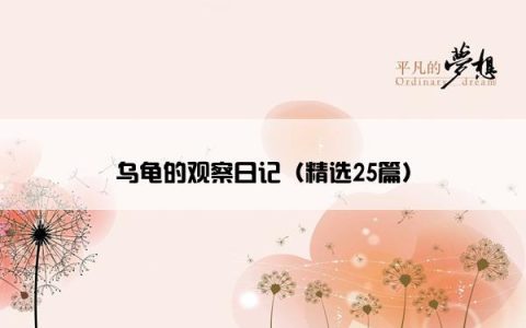 乌龟的观察日记（精选25篇）