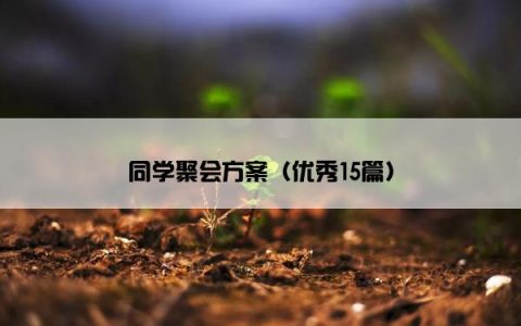 同学聚会方案（优秀15篇）