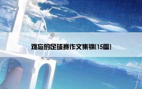 难忘的足球赛作文集锦[15篇]