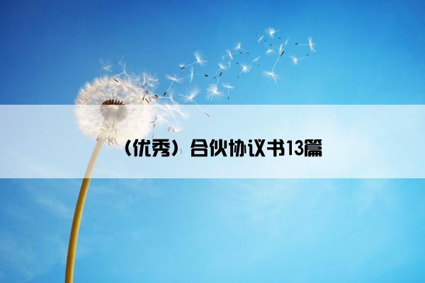 （优秀）合伙协议书13篇