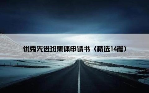 优秀先进班集体申请书（精选14篇）