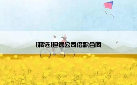 [精选]担保公司借款合同