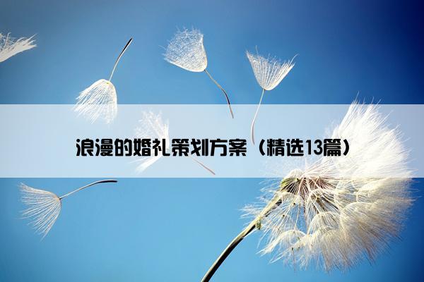 浪漫的婚礼策划方案（精选13篇）