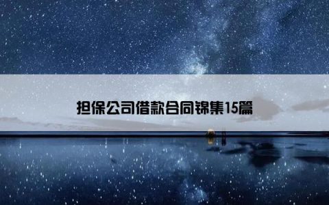 担保公司借款合同锦集15篇