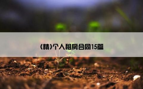 (精)个人租房合同15篇