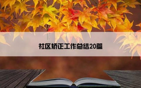 社区矫正工作总结20篇