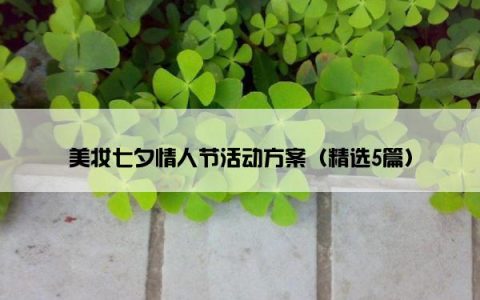 美妆七夕情人节活动方案（精选5篇）
