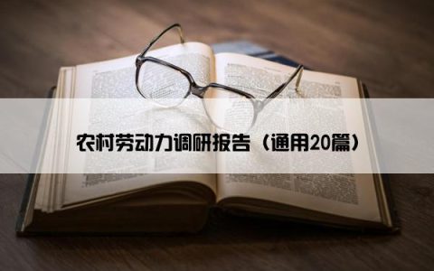 农村劳动力调研报告（通用20篇）