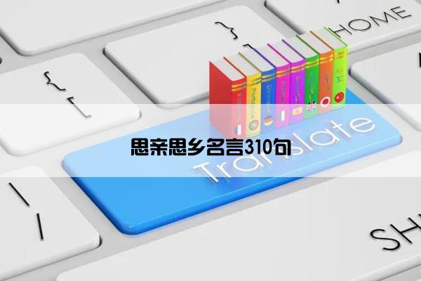 思亲思乡名言310句