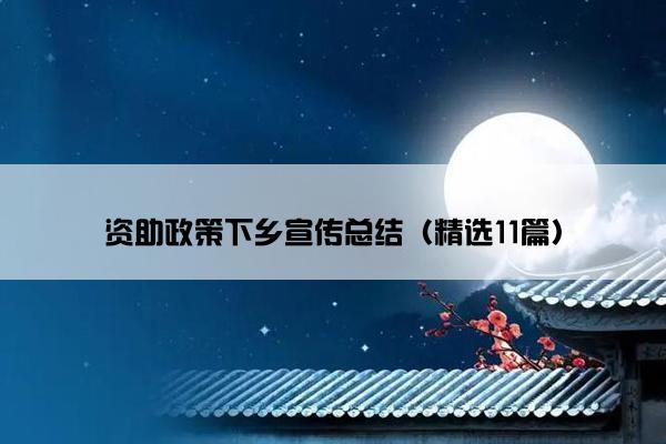 资助政策下乡宣传总结（精选11篇）