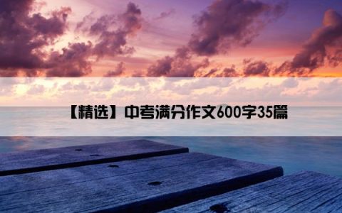 【精选】中考满分作文600字35篇