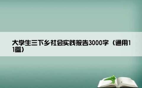 大学生三下乡社会实践报告3000字（通用11篇）