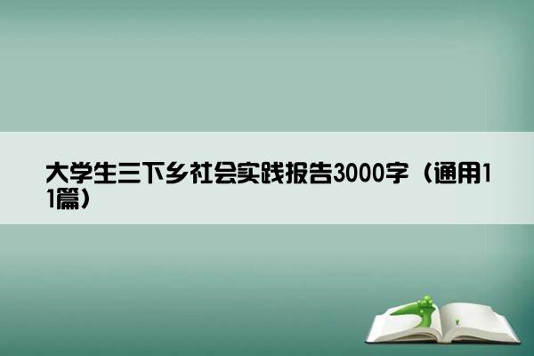 大学生三下乡社会实践报告3000字（通用11篇）