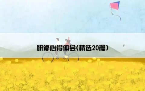 研修心得体会(精选20篇)