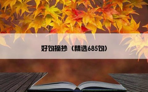 好句摘抄（精选685句）