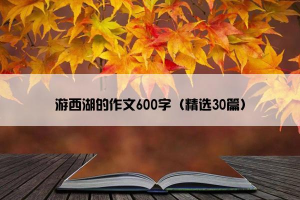 游西湖的作文600字（精选30篇）