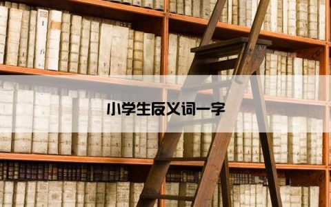 小学生反义词一字