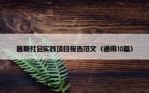 暑期社会实践项目报告范文（通用10篇）