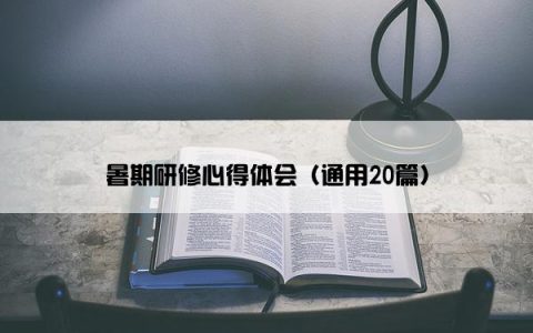 暑期研修心得体会（通用20篇）