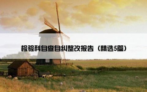 检验科自查自纠整改报告（精选5篇）