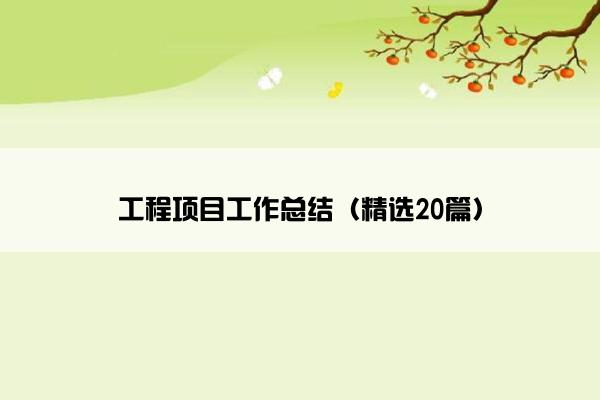 工程项目工作总结（精选20篇）