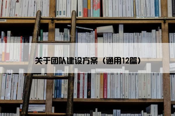 关于团队建设方案（通用12篇）