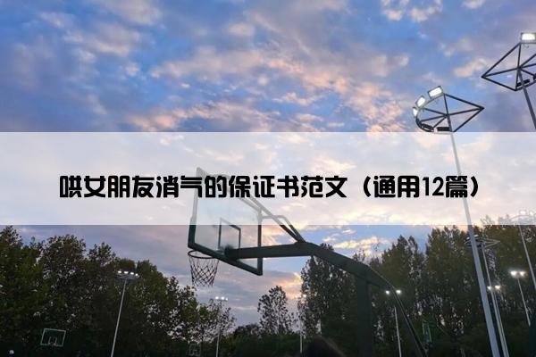 哄女朋友消气的保证书范文（通用12篇）