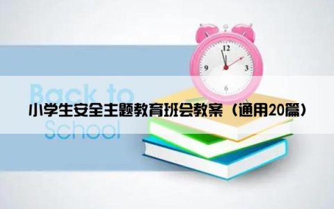 小学生安全主题教育班会教案（通用20篇）