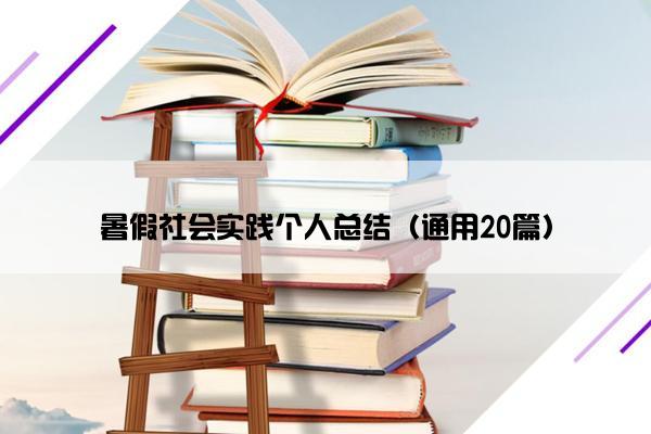 暑假社会实践个人总结（通用20篇）
