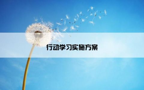 行动学习实施方案