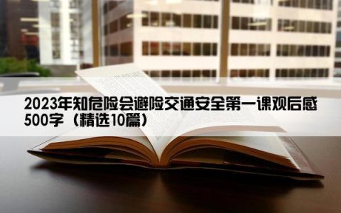 2023年知危险会避险交通安全第一课观后感500字（精选10篇）