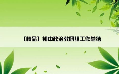 【精品】初中政治教研组工作总结