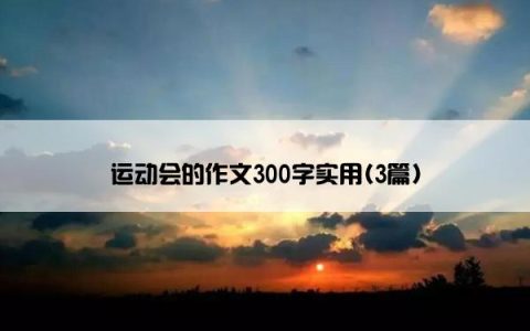 运动会的作文300字实用(3篇)