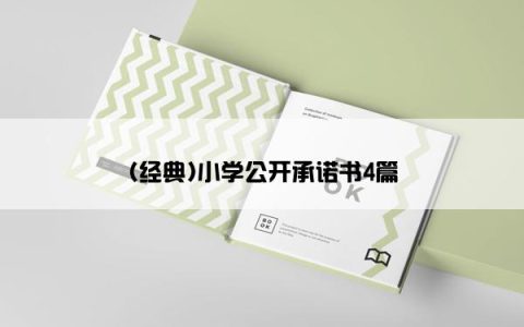 (经典)小学公开承诺书4篇