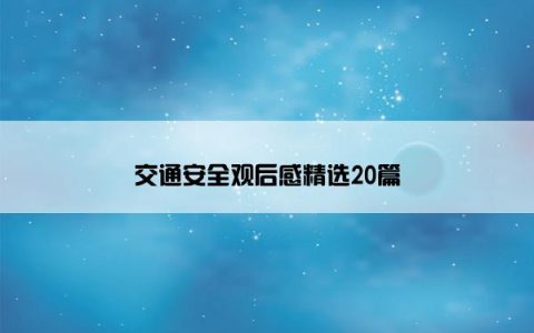 交通安全观后感精选20篇