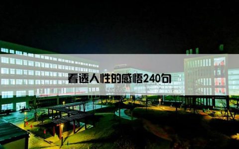看透人性的感悟240句