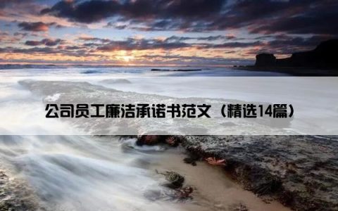 公司员工廉洁承诺书范文（精选14篇）
