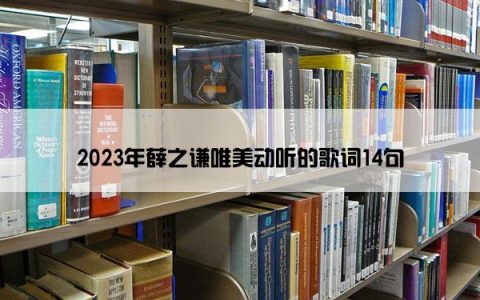 2023年薛之谦唯美动听的歌词14句