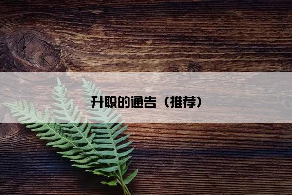 升职的通告（推荐）