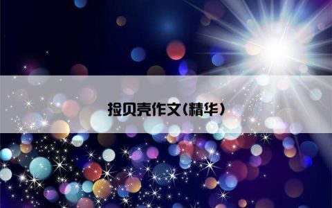 捡贝壳作文(精华)