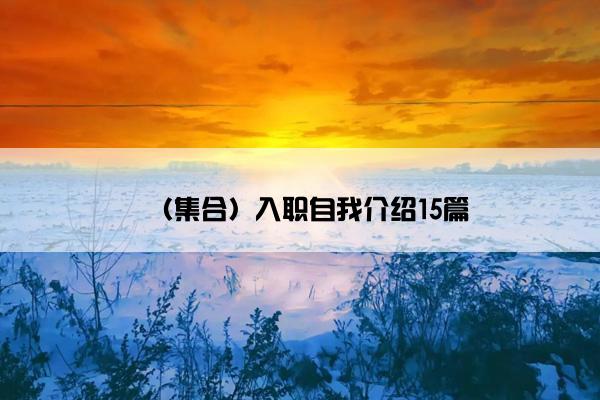 （集合）入职自我介绍15篇