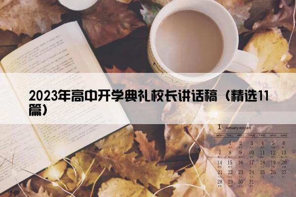 2023年高中开学典礼校长讲话稿（精选11篇）