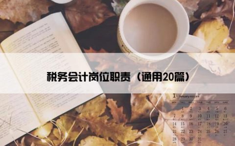 税务会计岗位职责（通用20篇）