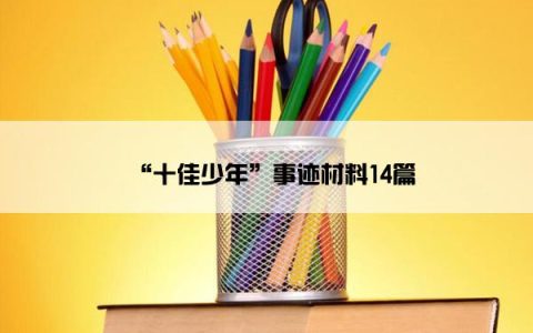 “十佳少年”事迹材料14篇