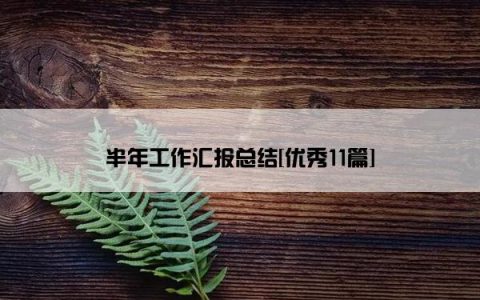 半年工作汇报总结[优秀11篇]