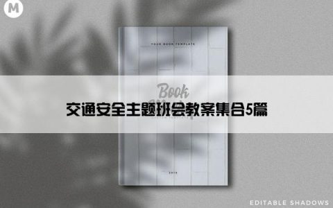 交通安全主题班会教案集合5篇
