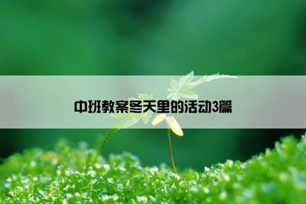 中班教案冬天里的活动3篇