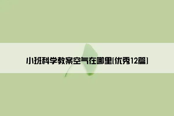 小班科学教案空气在哪里[优秀12篇]