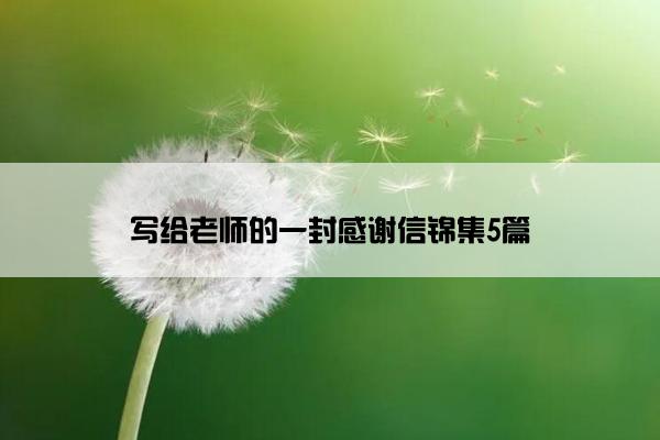 写给老师的一封感谢信锦集5篇