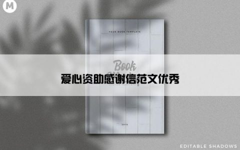 爱心资助感谢信范文优秀